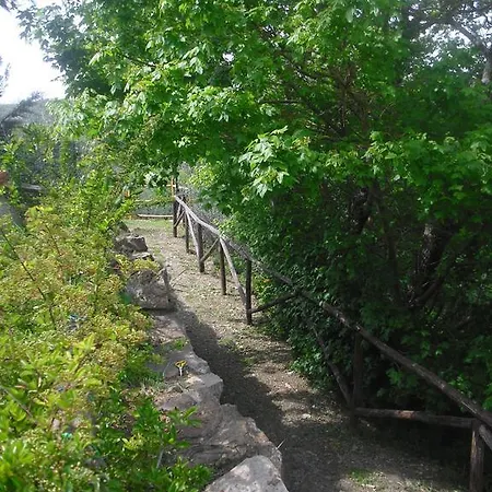 Il Rustico Castellina in Chianti