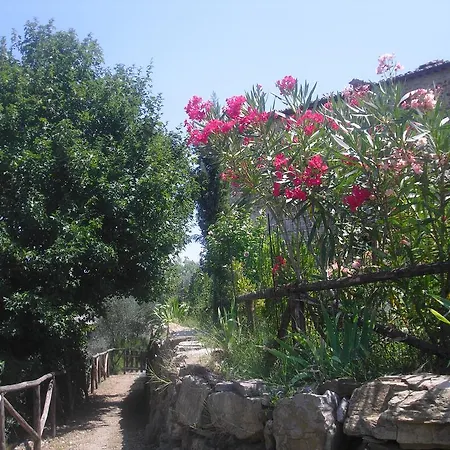 Il Rustico Castellina in Chianti